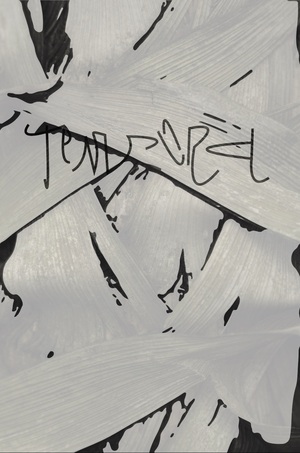 Tempora