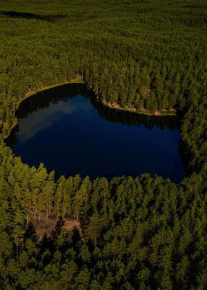 Серебряное озеро