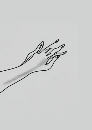 Palmlin Harmony