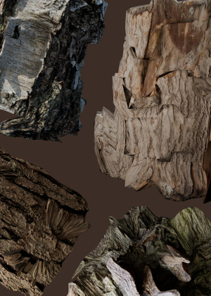 Плакаты Dubuni