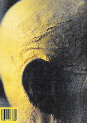 Жёлтый Человек