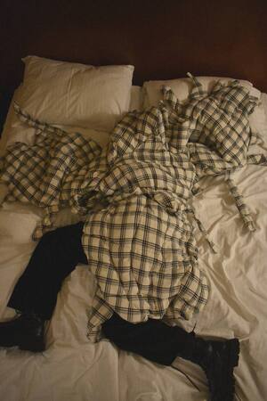 PUNAISES DE LIT
