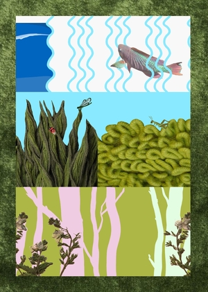 В травяном переплёте