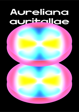 Плакаты для Jelectry