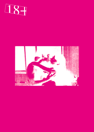 Behind the pink screen. Retained Erotism of Pink Film