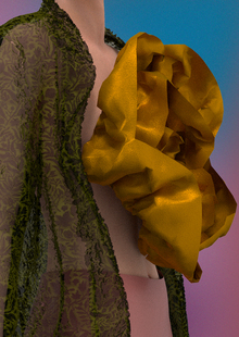 DRIES VAN NOTEN