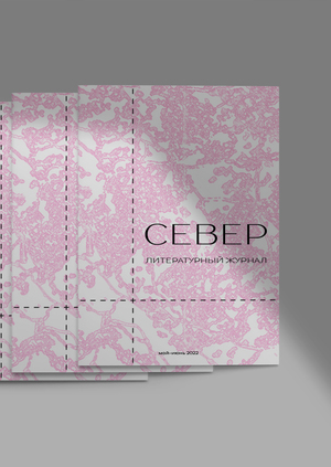Ребрендинг журнала «Север»