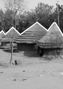 VI. Смешанные жилища