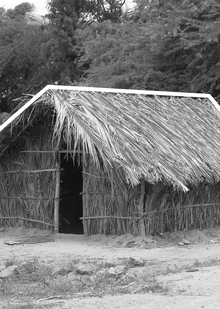 V. Плетеные жилища