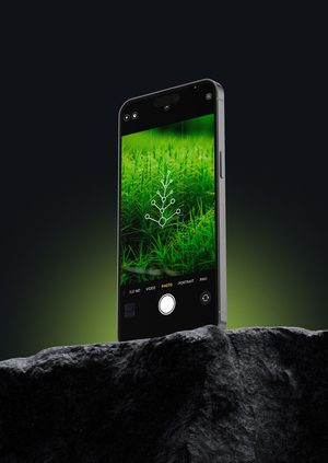 BIOID APP