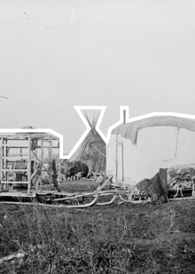 VII. Специфические жилища