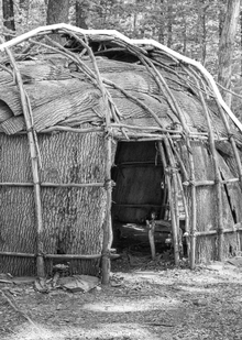 IV. Каркасные жилища