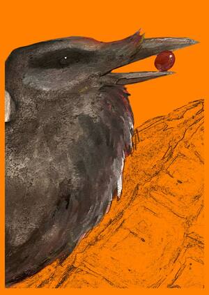 «street collection»