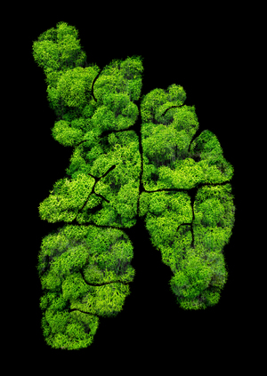 Leafy Typeface