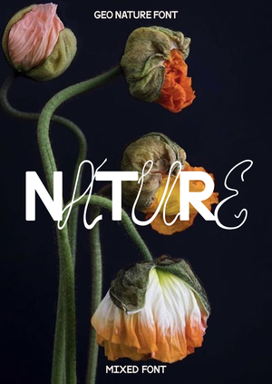 Geo Nature font