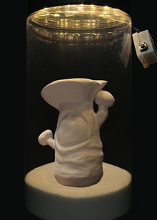 FUNGI OLYMPUS