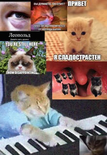 Memory studies: милота и&nbsp;крипота