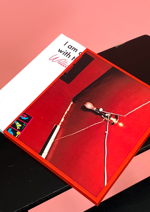 I'm at war with the obvious: William Eggleston