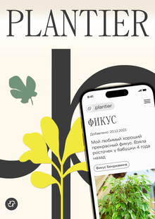 Plantier | Дизайн