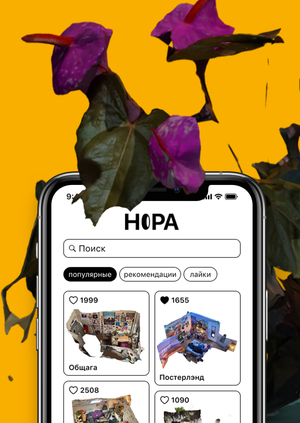 НОРА