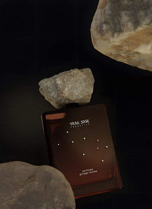 Косметический набор для путешествий Trail Sage