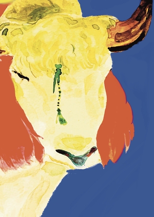 Парнокопытные