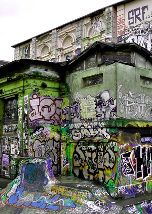 Куда делись сквоты?