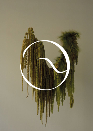 concept store ЭВА