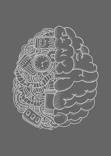 THE BRAIN