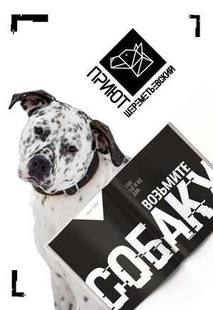 Айдентика Шереметьевского приюта