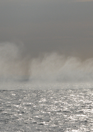 Warm water reminds me (of wind)