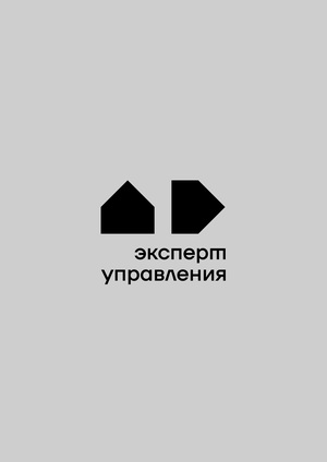Эксперт управления. Айдентика.