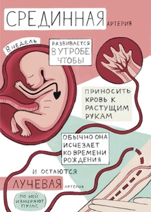 Веб-комикс "Срединная артерия"