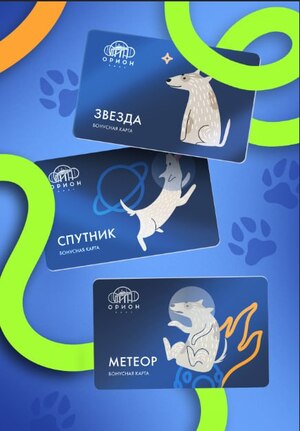 Программа лояльности для парка аттракционов "Орион"