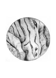Иллюстрированный зин «Микромир»
