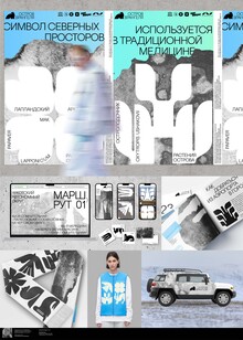 Айдентика для заповедника Остров Врангеля