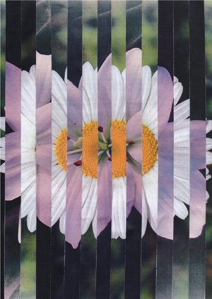 Айдентика для мастерской гибридных цветов BLOSSOM