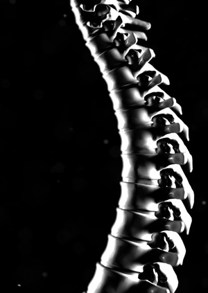 Houdini: Viscera