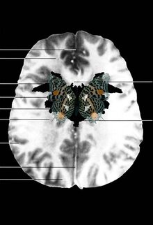 Тушки науки, или способы говорить о&nbsp;теле в&nbsp;Art&Science