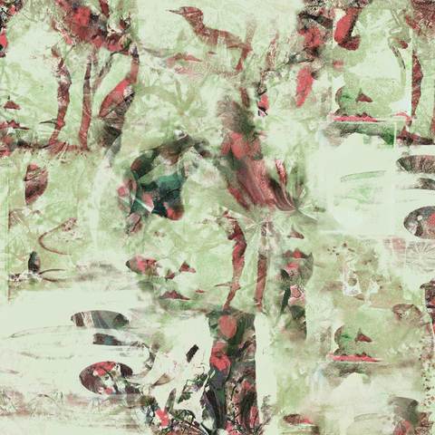 Ideas in Green Coloring