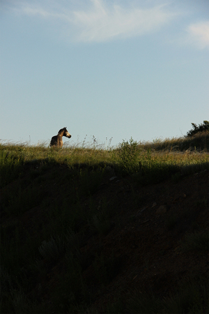 Вы когда-нибудь говорили с Богом?