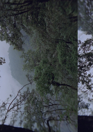 Медленное кино