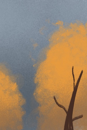 Явления природы