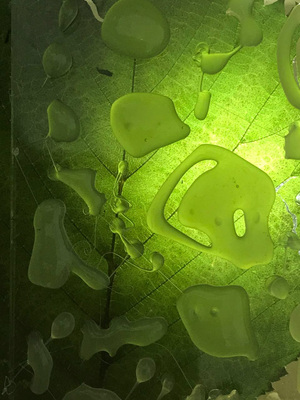 Природа искусства