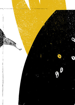 Визуальные репрезентации национальной идентичности в российском блэк-метале