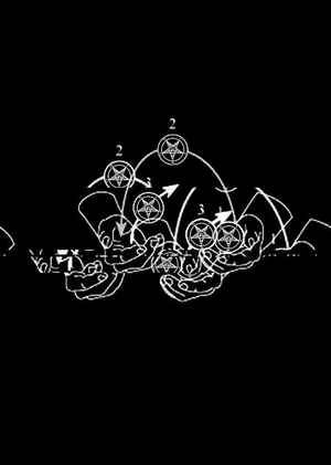 Цирк с козлами. Микромедиа