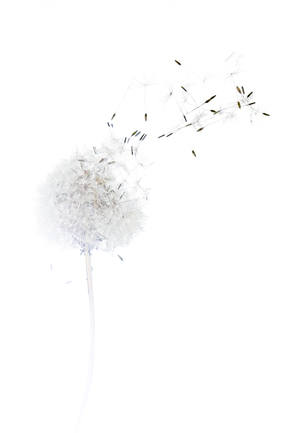 Fragile. Take care