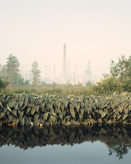 Своя тема / Слово редактора