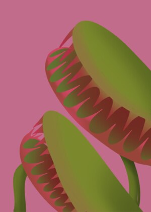 Концепция подставки для книг из фарфора "Венерина книголовка"