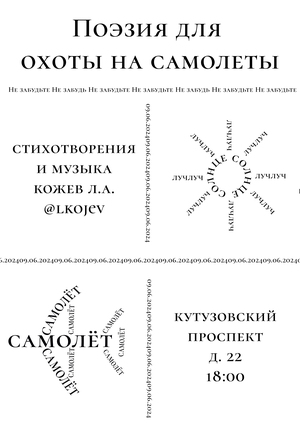 Поэзия для охоты на самолеты